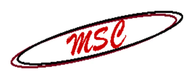 MS Consulting & HR Services (Pty) Ltd logo