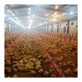 Globalink Poultry Farms Ltd Pty logo