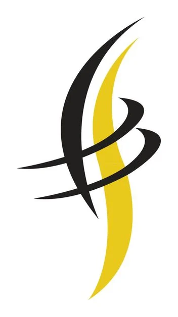 Brazilian Hair Only logo