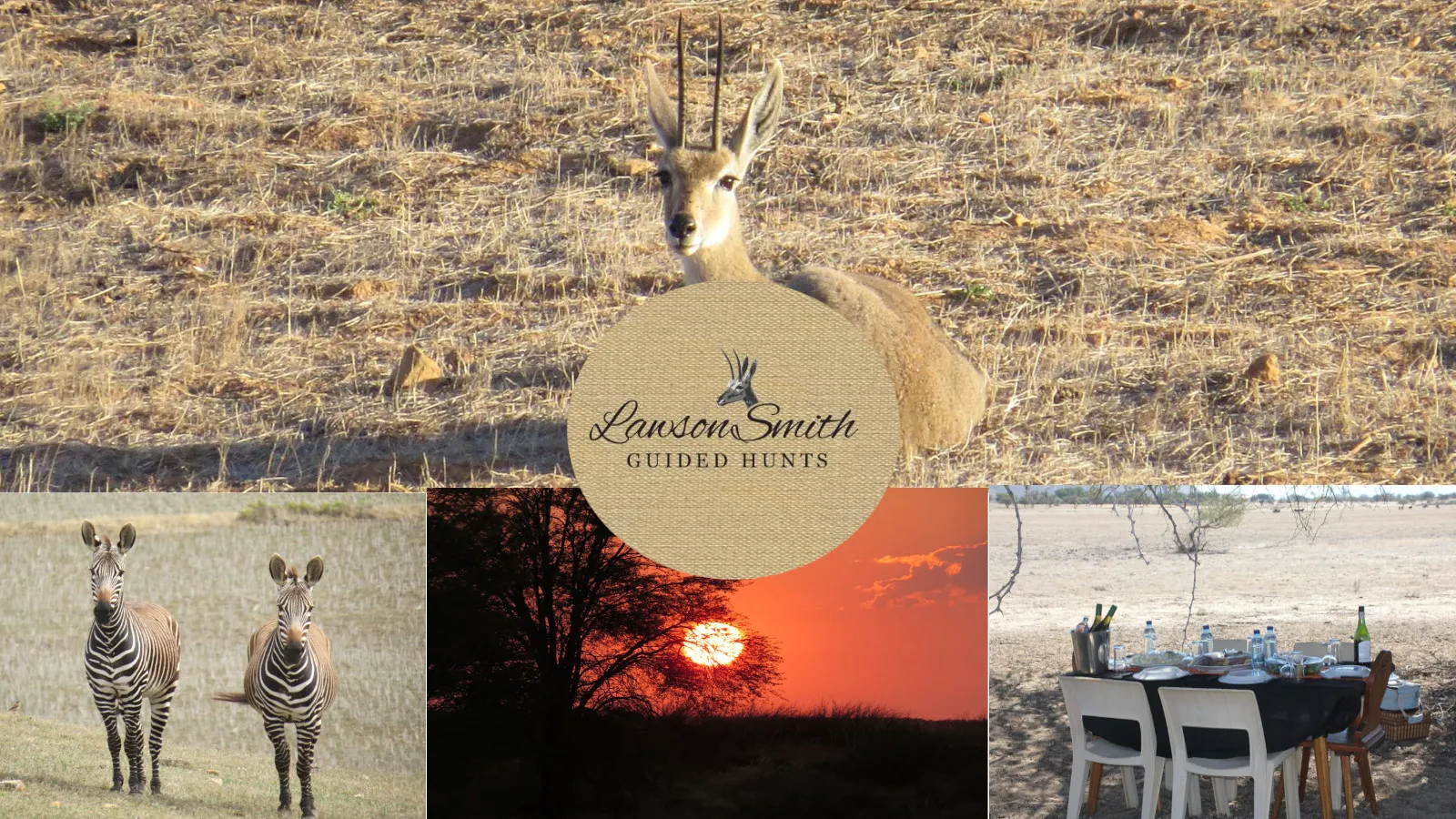 Guided Hunts photo 2