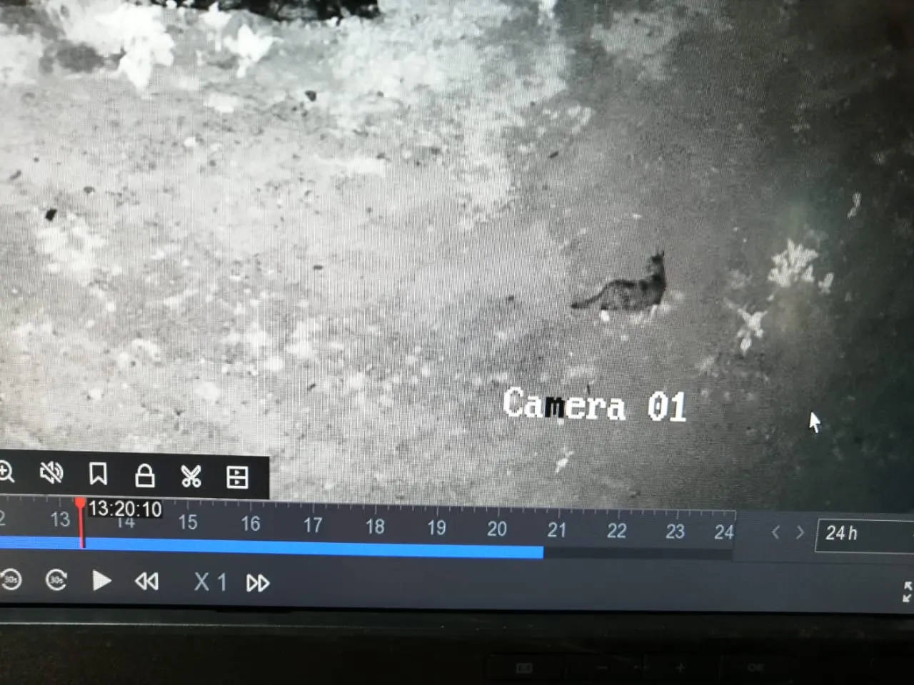 Blue Crane Technologies photo 2