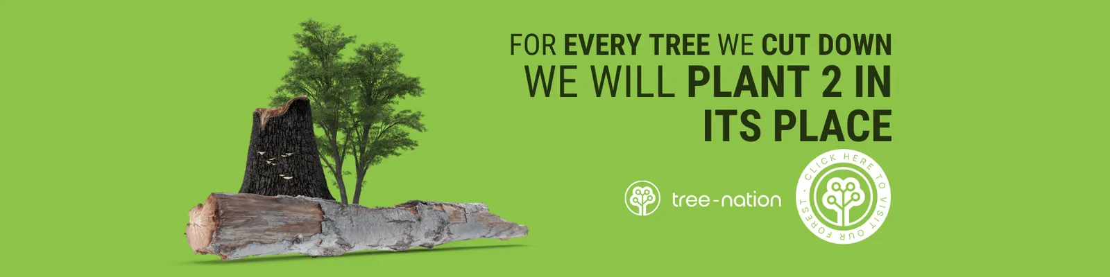Tree Fellers Johannesburg photo 1