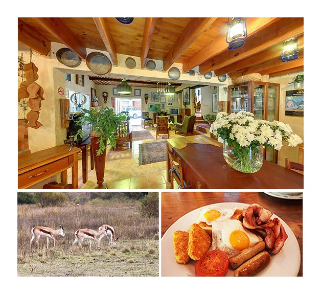 Kloof B&B logo