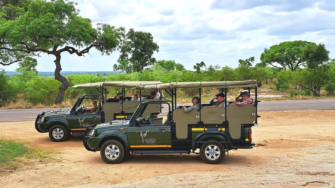Nhongo Safaris photo 1