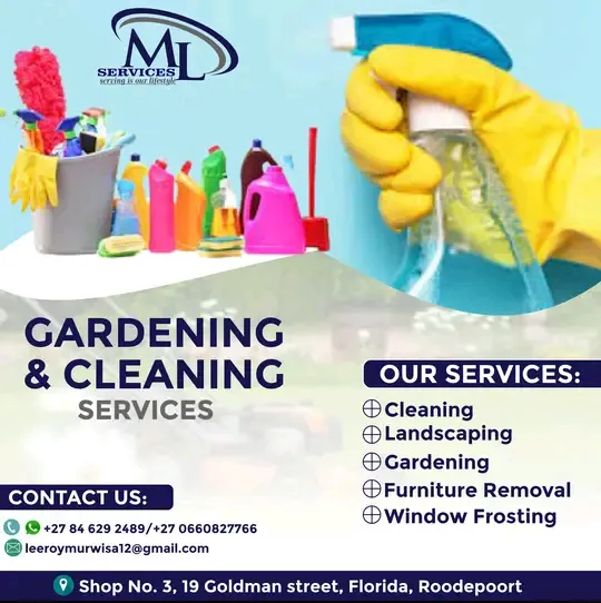 ML Services photo 4