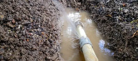 Wierdapark Plumbers photo 4