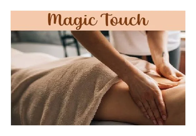 Magic Touch logo