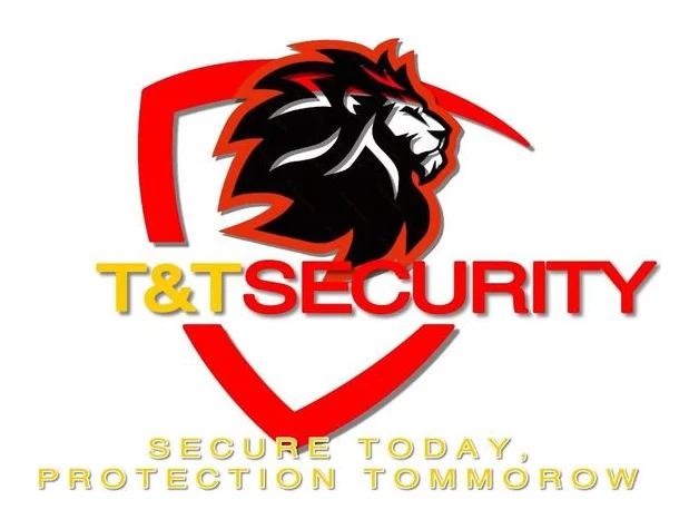 THANDO & THABISO SECURITY AND PROJECTS logo