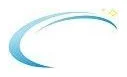 Walchem logo