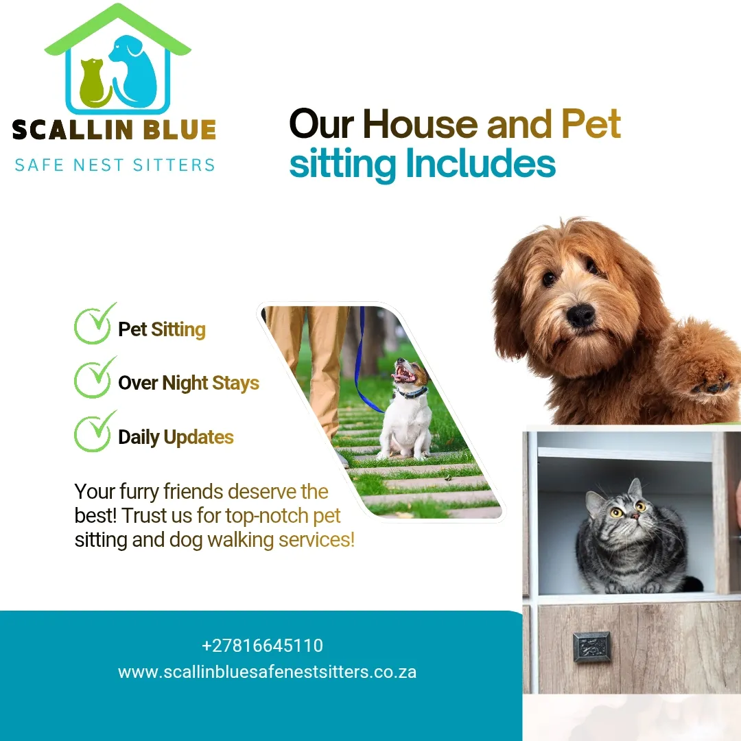 Scallin Blue Safe Nest Sitters photo 1