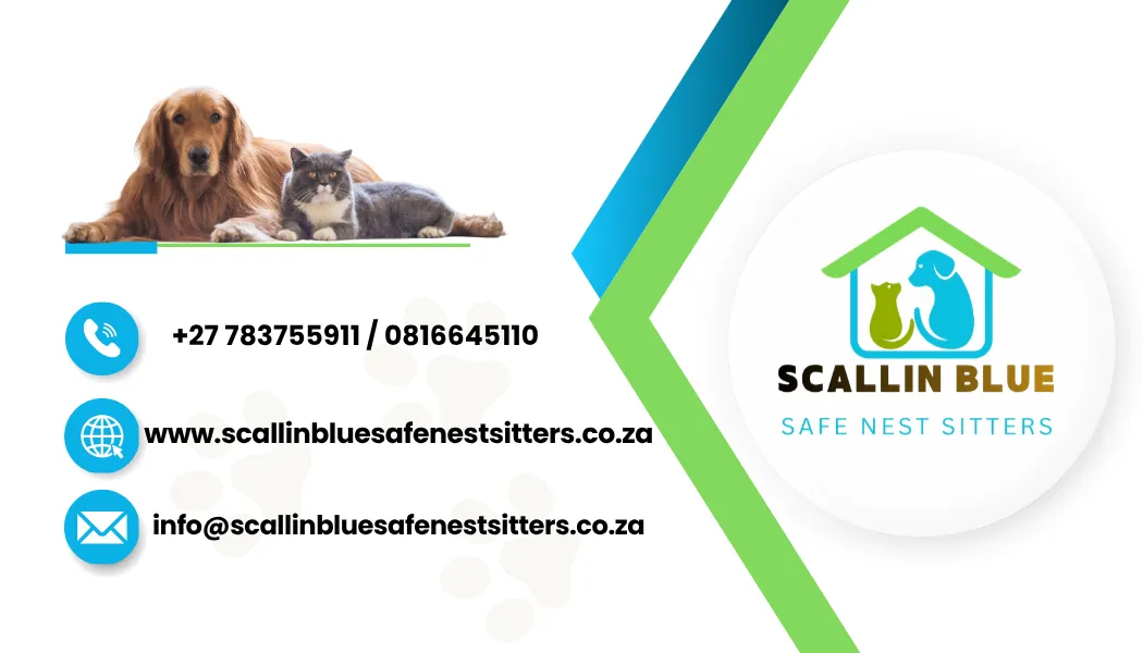 Scallin Blue Safe Nest Sitters photo 3