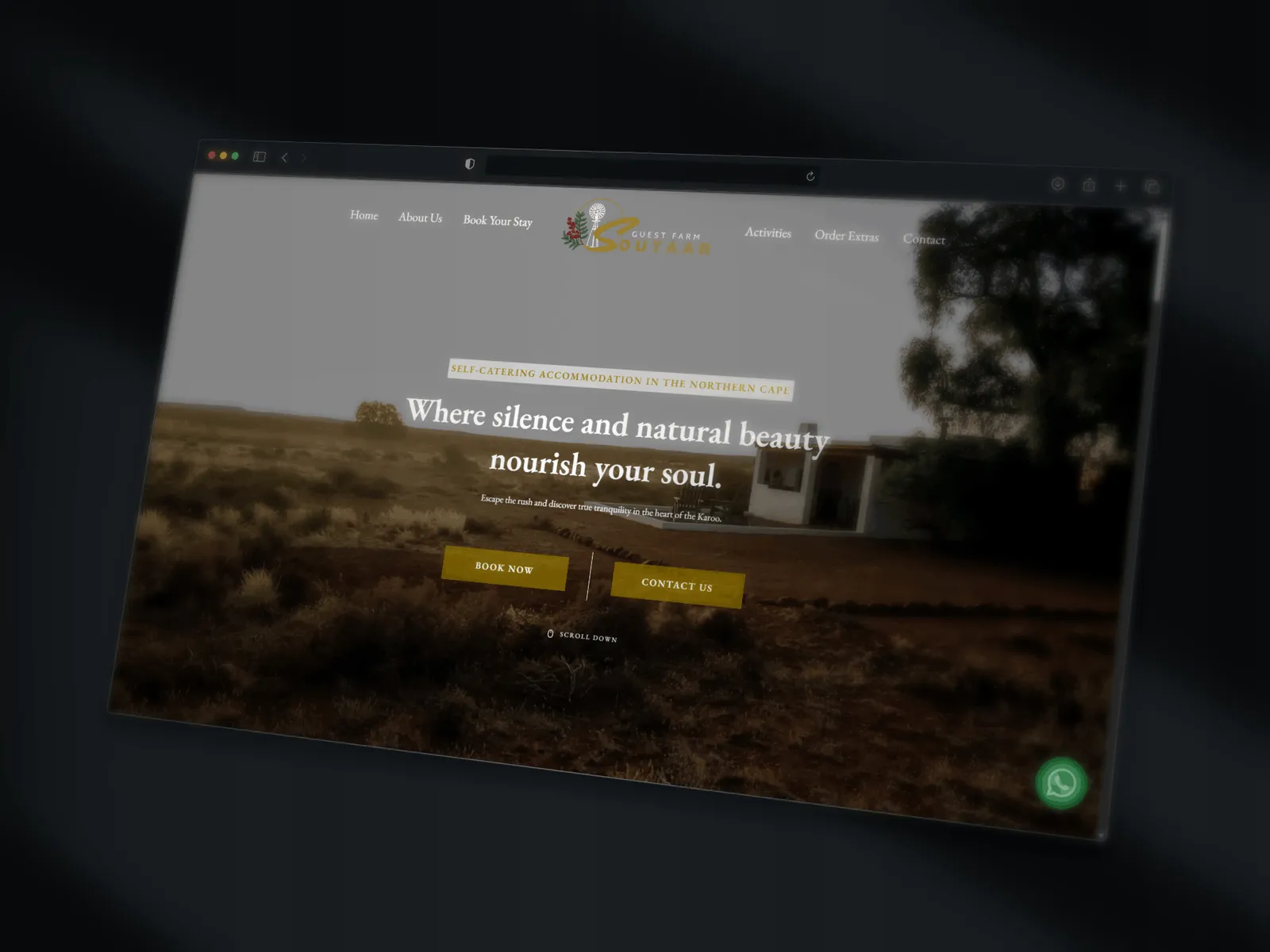 Web Designer in George photo 3