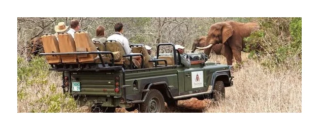 Thanda Safari Private Game Reserve logo