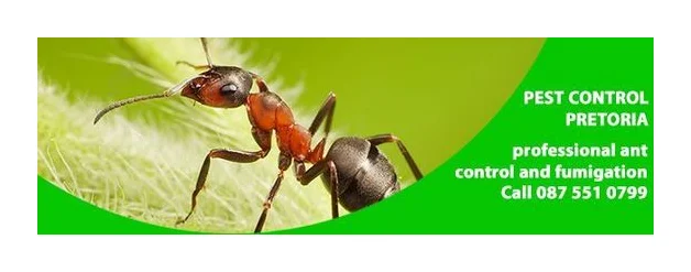 Pretoria Pest Control logo