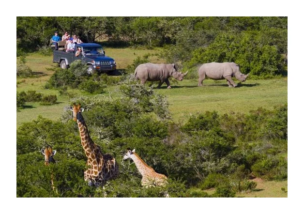 Orongai Africa Safari logo
