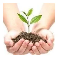 LMB Management Professionals logo