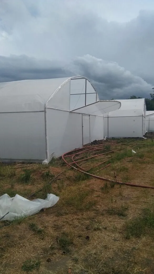 Greentek Tunnels photo 2