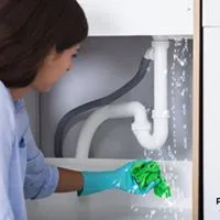 Plumbers Cape photo 2