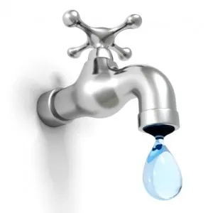 Plumbers Cape photo 4