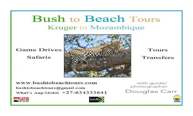 Bush to Beach Tours logo