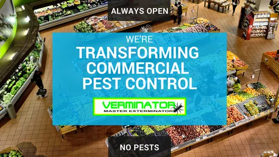 Verminator Pest Control photo 2