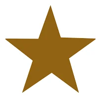 modern star trading enterprise logo