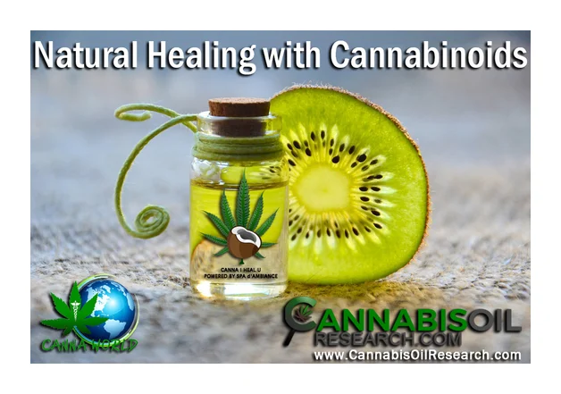 Heal Your Life with Cannabis logo