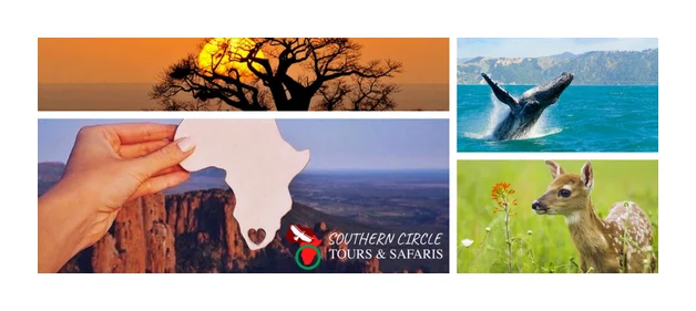 Southern Circle Tours and Safaris logo