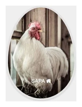 The South African Poultry Association logo