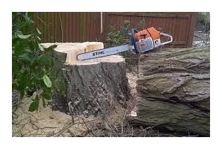 Eddy's Tree Felling logo