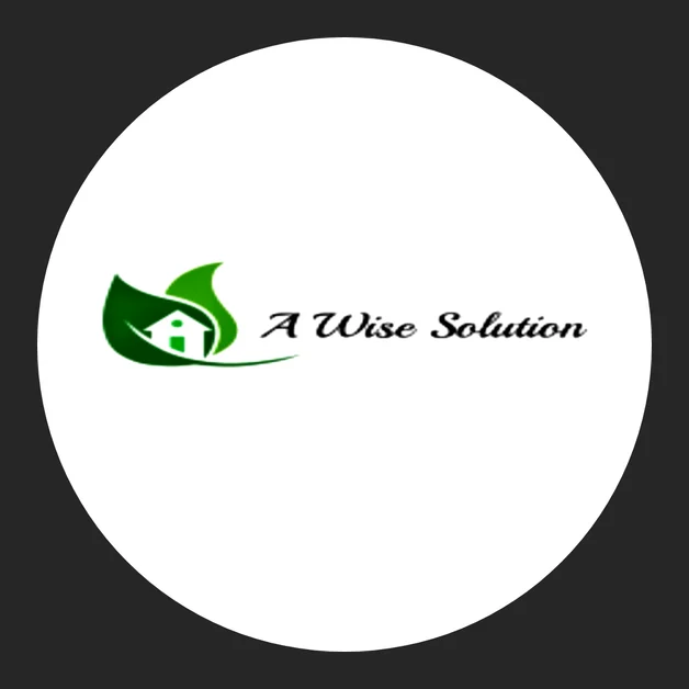 A Wise Solution logo