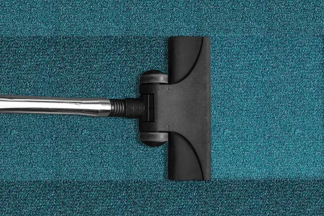 The Spring Cleaners photo 4