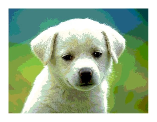 komel pet care logo