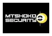 Mtshoko security services logo