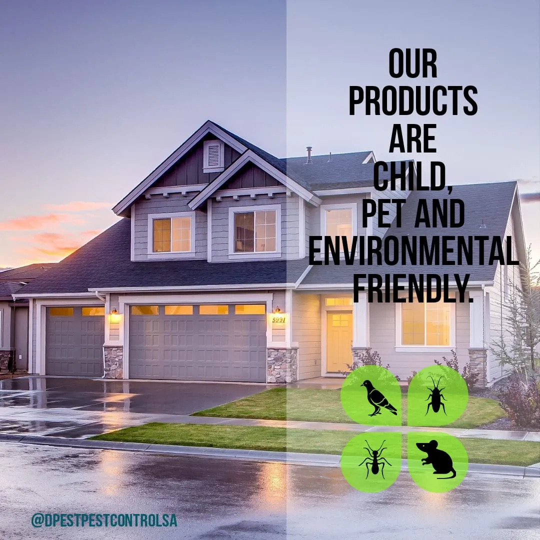 Dpest Pest Control Services photo 1