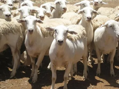 PABITHA GROUP TRADING photo 3