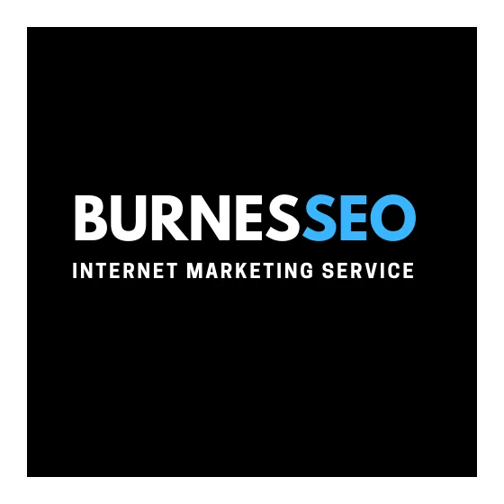Burnesseo Internet Marketing Service logo
