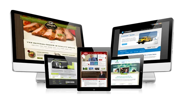 Cybernetics Web Designs ZA logo