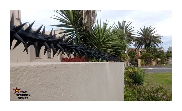 Star Security Spikes Online Store logo