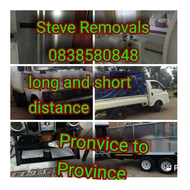 Steve Mini Movers logo