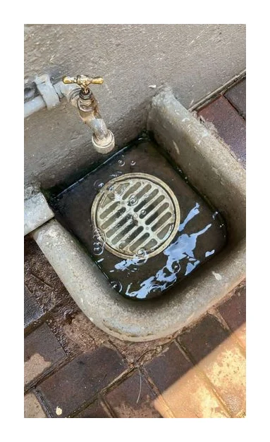 Equestra Plumbers logo