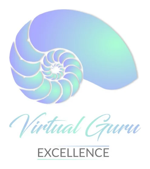 Virtual Guru logo