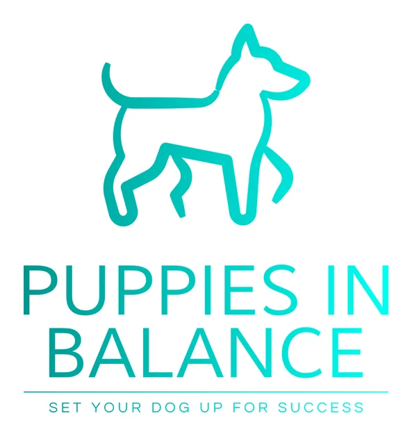Puppies in Balance Cape Town logo