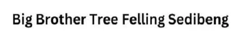 Big Brother Tree Felling Sedibeng logo