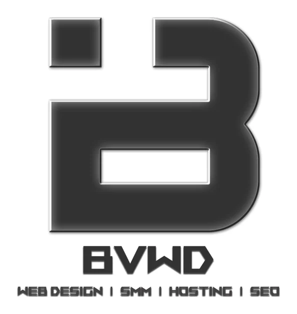 Blue Vine Web Design logo