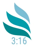 Andries Oberholzer Consulting logo