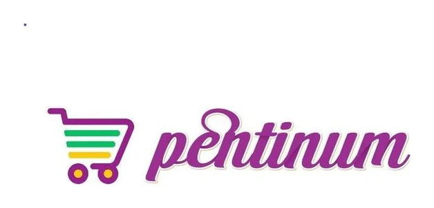 Pentinum Electronics Store logo