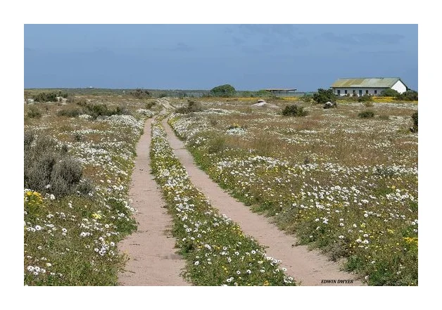 Saldanha Nature & History logo