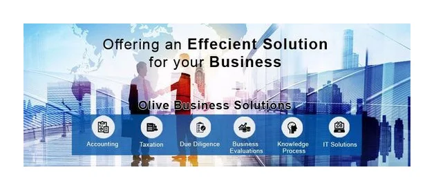 Top Business Consulting Firm South Africa logo