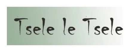 Tsele le Tsele Tech logo